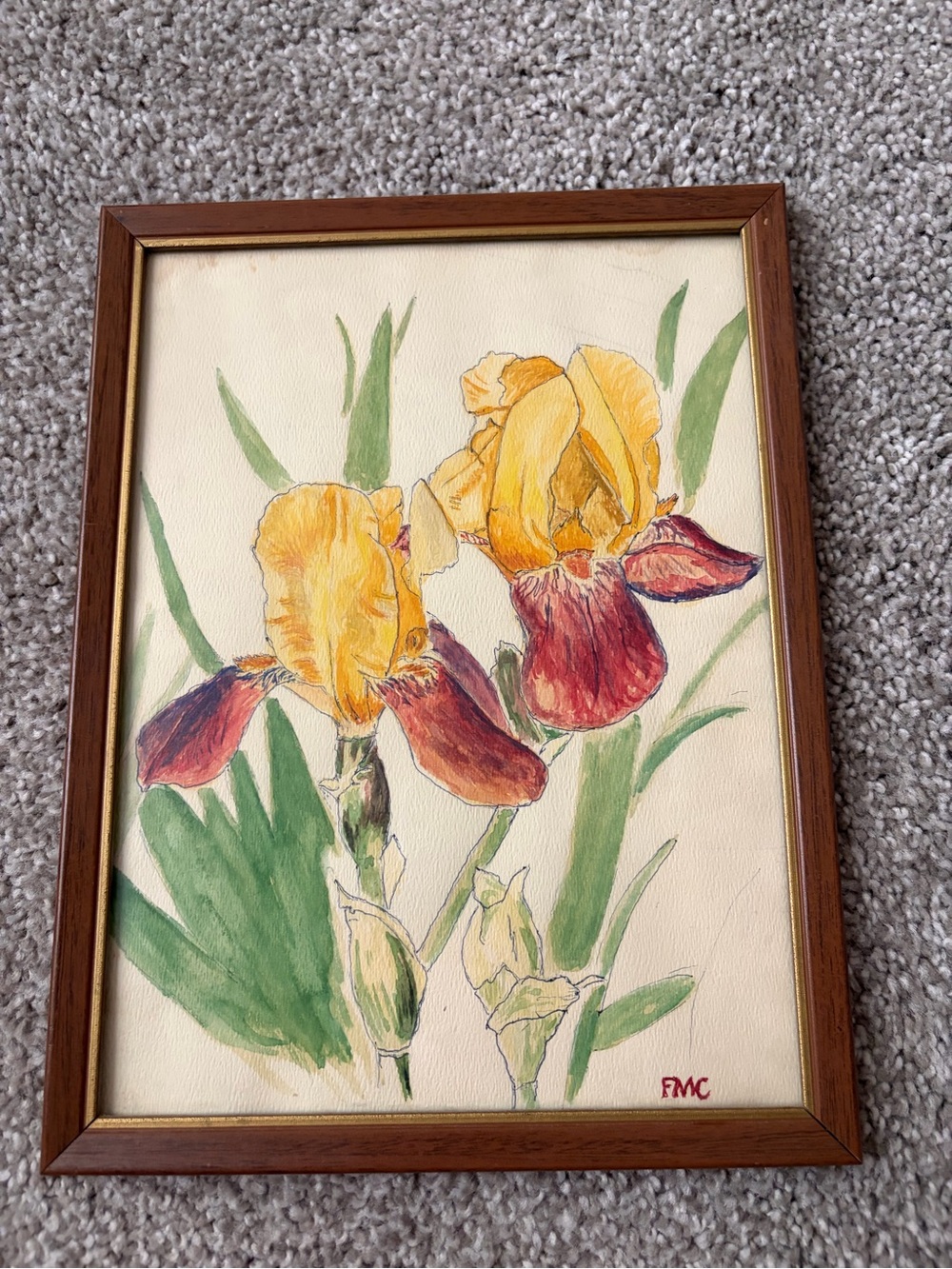 Yellow and Red Iris Watercolor Wall Art - Home Art